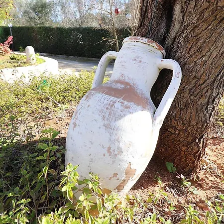 Apartamento Sultanina *